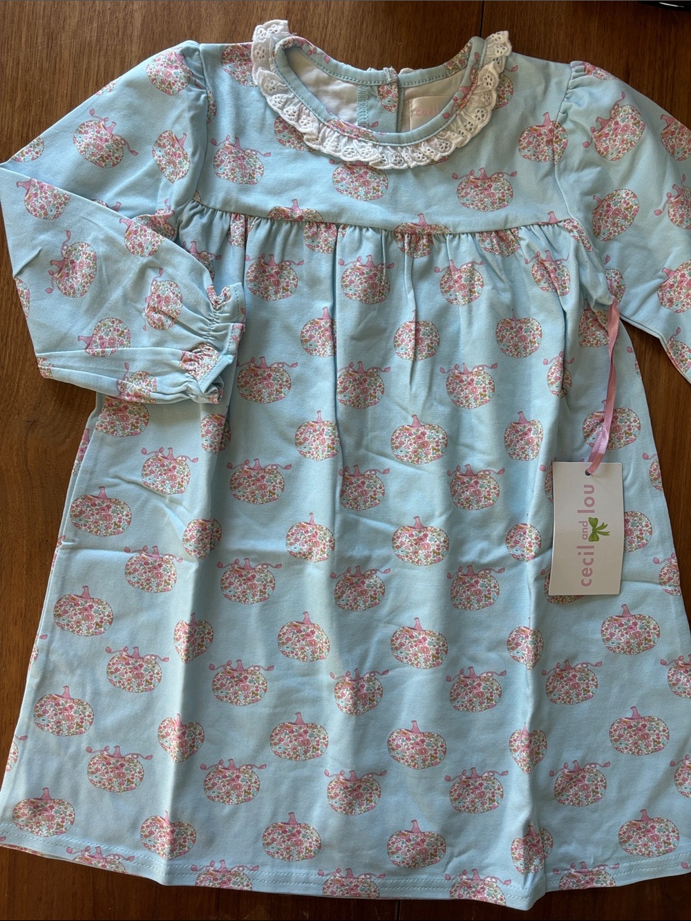 NWT Cecil and Lou Floral pumpkin dress 4t